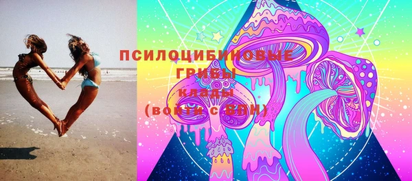прущая мука Верхний Тагил