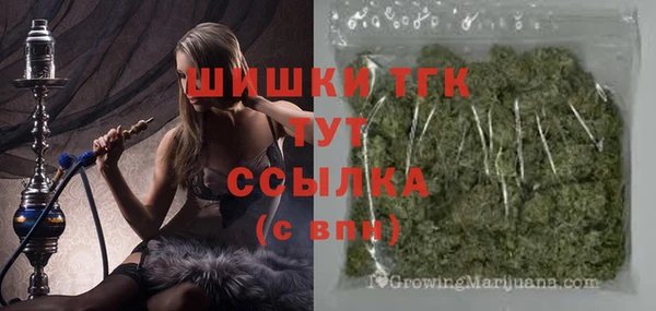хмурый Тайга