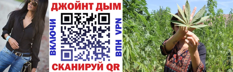 Бошки Шишки VHQ  Лосино-Петровский 